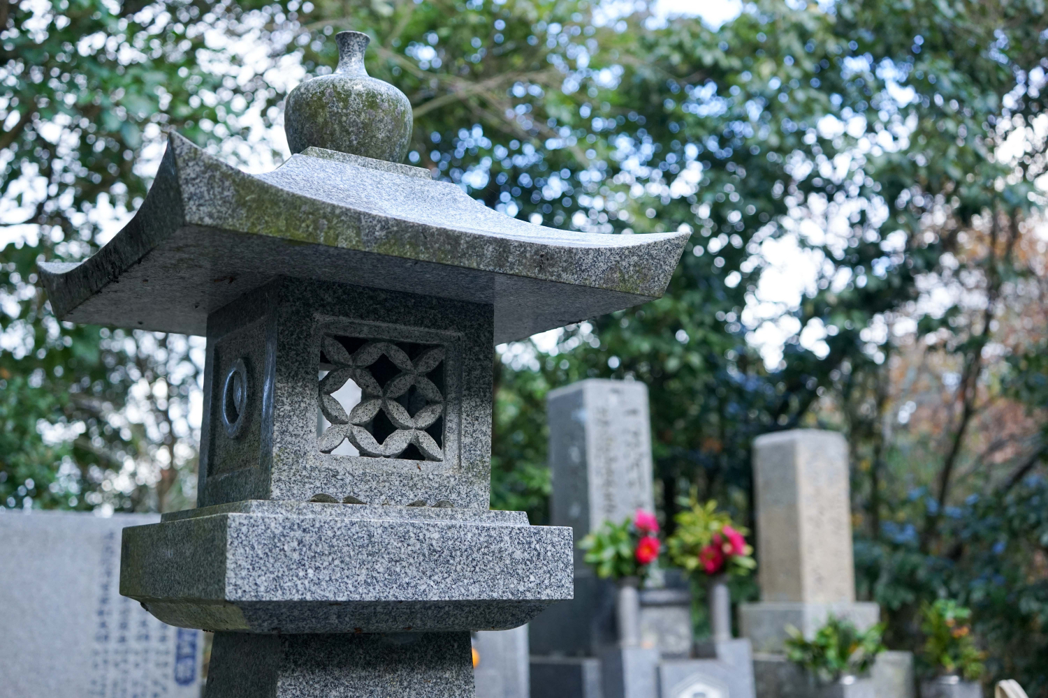 防草真砂土の特徴